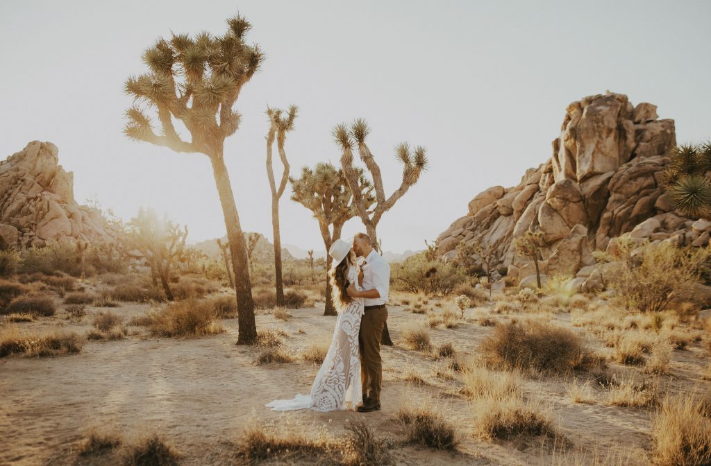 Desert Meets Tropical Elopement in Desert Love Land